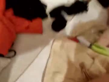 brianriver — 2025-10-31 16:50 brianriver — 2025-10-31 16:50