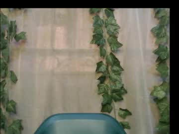dripqueenx — 2025-10-13 16:45 dripqueenx — 2025-10-13 16:45