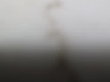 junk_yard_dog — 2025-09-15 16:54 junk_yard_dog — 2025-09-15 16:54