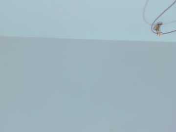 madison_turner — 2025-09-10 20:49 madison_turner — 2025-09-10 20:49